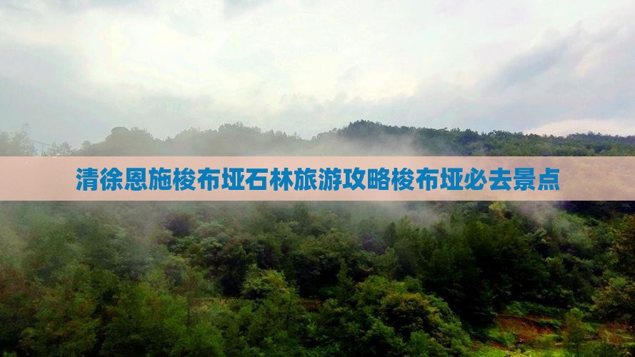 清徐去恩施梭布垭石林景点