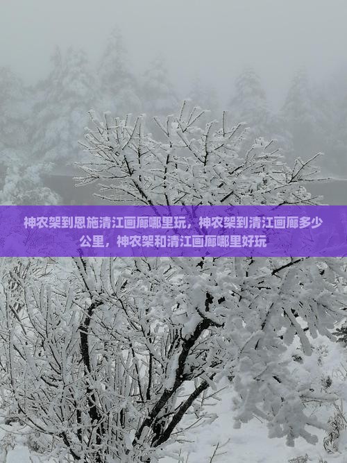 神农架到恩施清江画廊哪里玩