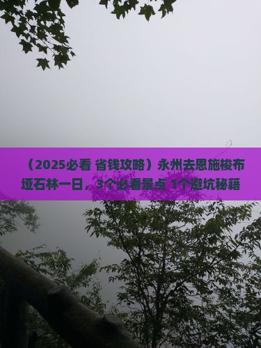 永州去恩施梭布垭石林一日