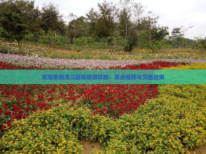 芜湖去恩施清江画廊景点