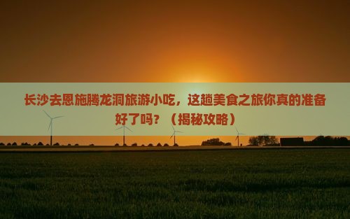 长沙去恩施腾龙洞旅游小吃