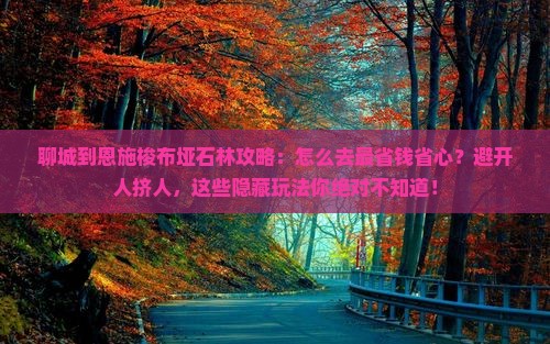 聊城到恩施梭布垭石林攻略