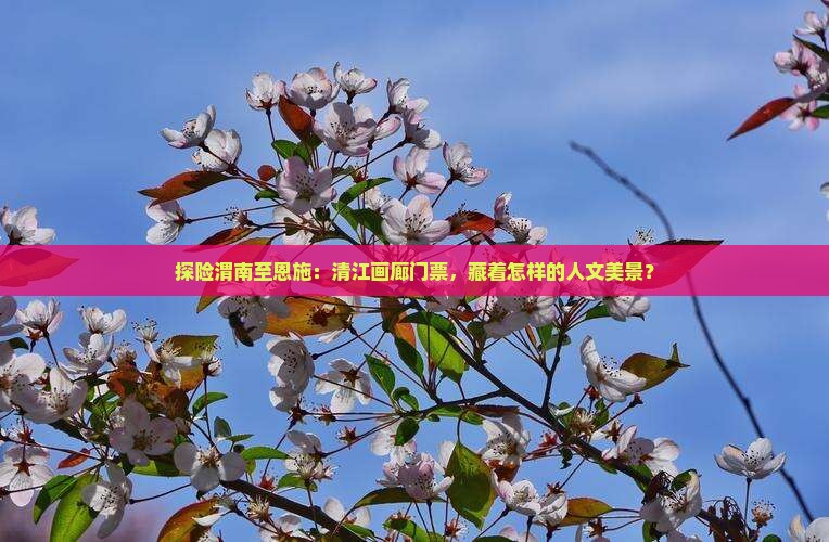 探险渭南至恩施：清江画廊门票，藏着怎样的人文美景？