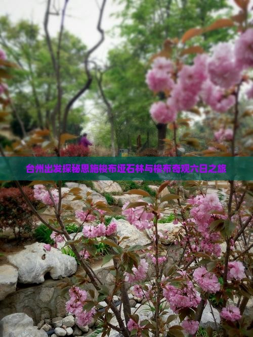 台州出发探秘恩施梭布垭石林与梭布奇观六日之旅