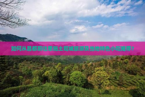 如何从昌都前往恩施土司城旅游及当地特色小吃推荐？