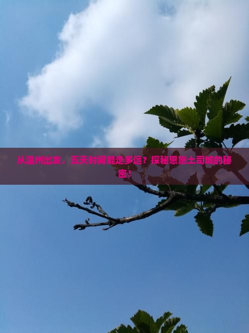 从温州出发，五天时间能走多远？探秘恩施土司城的秘密！