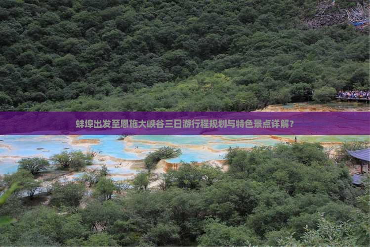 蚌埠出发至恩施大峡谷三日游行程规划与特色景点详解？