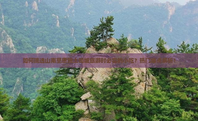 如何挑选山南至恩施土司城旅游时必尝的小吃？热门痛点解析！