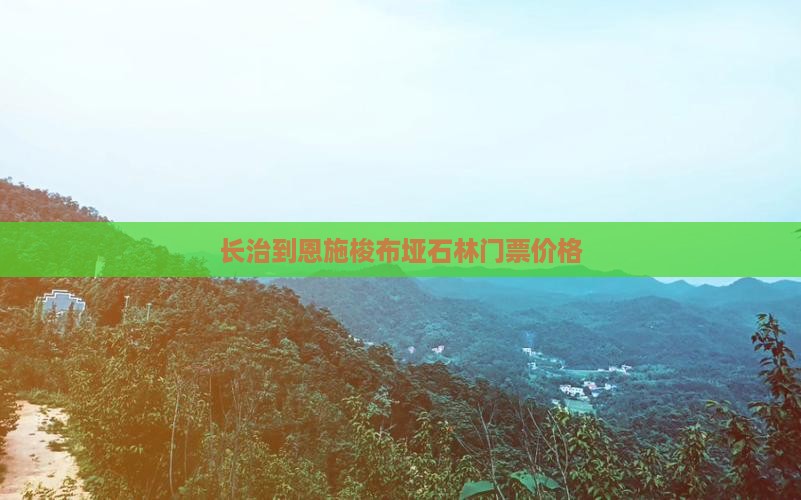 长治到恩施梭布垭石林门票价格