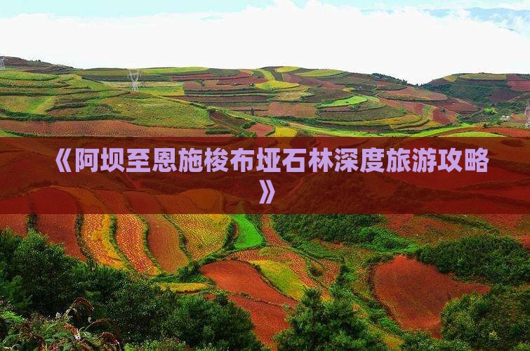 《阿坝至恩施梭布垭石林深度旅游攻略》