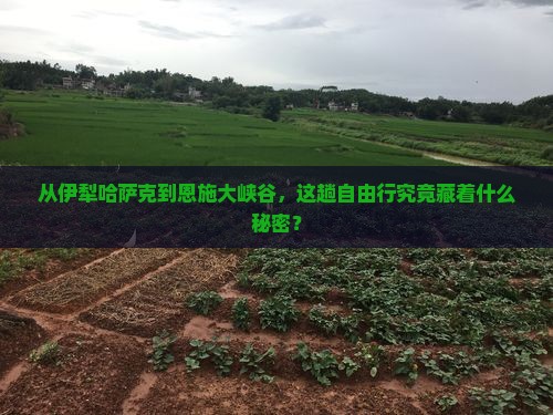 从伊犁哈萨克到恩施大峡谷，这趟自由行究竟藏着什么秘密？