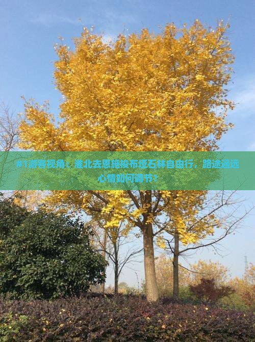 #1游客视角：淮北去恩施梭布垭石林自由行，路途遥远心情如何调节？