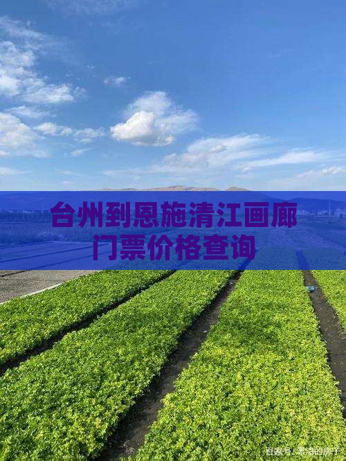 台州到恩施清江画廊门票价格查询
