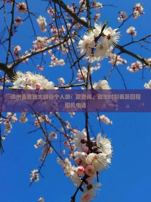 漳州去恩施大峡谷个人游：票查询、动车时刻表及回程司机电话