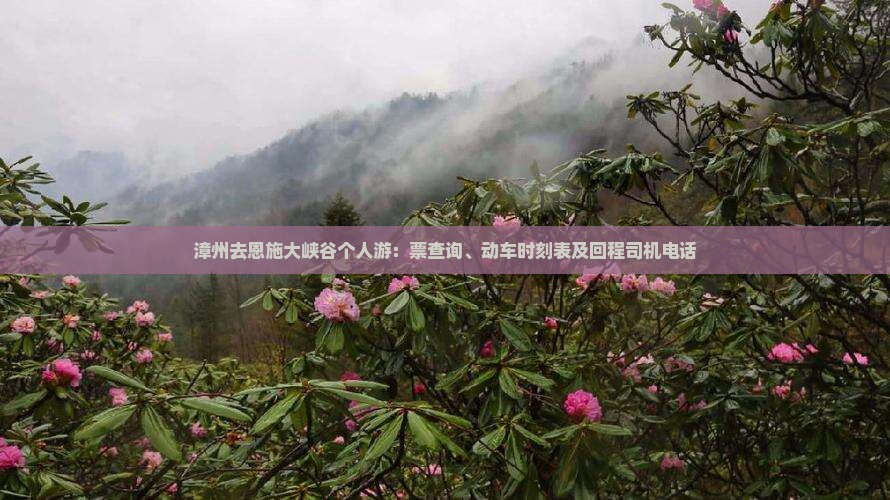 漳州去恩施大峡谷个人游：票查询、动车时刻表及回程司机电话