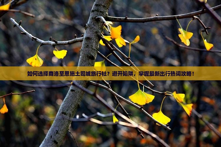 如何选择商洛至恩施土司城旅行社？避开陷阱，掌握最新出行热词攻略！