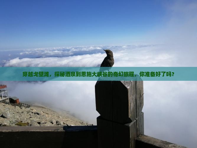 穿越戈壁滩，探秘酒泉到恩施大峡谷的奇幻旅程，你准备好了吗？