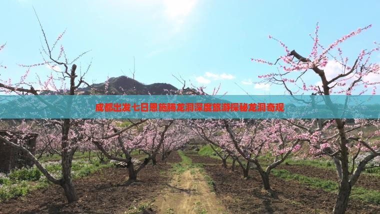 成都出发七日恩施腾龙洞深度旅游探秘龙洞奇观
