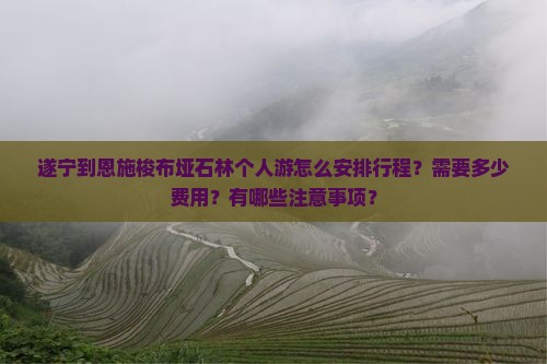 遂宁到恩施梭布垭石林个人游怎么安排行程？需要多少费用？有哪些注意事项？