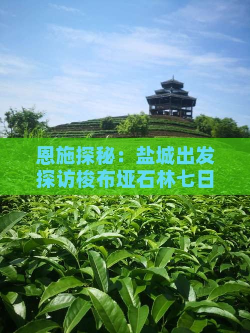 恩施探秘：盐城出发探访梭布垭石林七日之旅