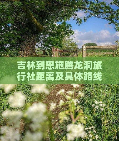 吉林到恩施腾龙洞旅行社距离及具体路线指南