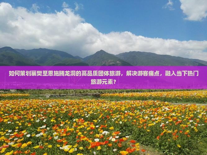 如何策划襄樊至恩施腾龙洞的高品质团体旅游，解决游客痛点，融入当下热门旅游元素？