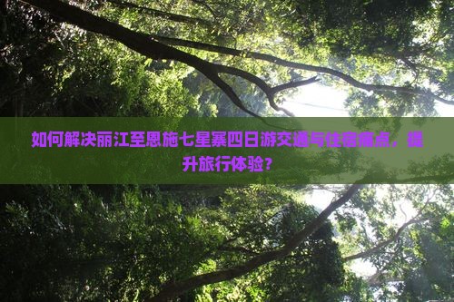 如何解决丽江至恩施七星寨四日游交通与住宿痛点，提升旅行体验？