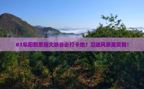 #3阜阳到恩施大峡谷必打卡地？沿途风景美哭我！