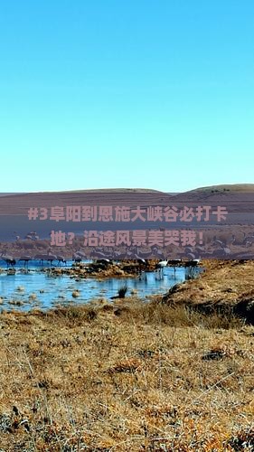 #3阜阳到恩施大峡谷必打卡地？沿途风景美哭我！