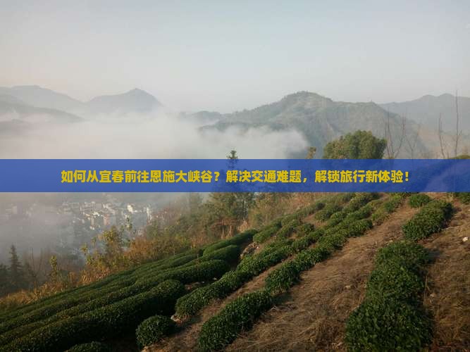 如何从宜春前往恩施大峡谷？解决交通难题，解锁旅行新体验！