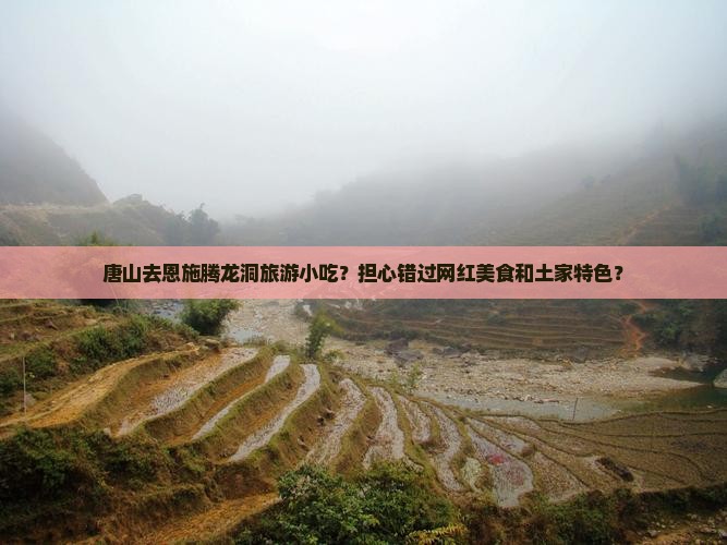 唐山去恩施腾龙洞旅游小吃？担心错过网红美食和土家特色？