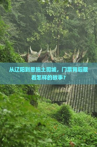 从辽阳到恩施土司城，门票背后藏着怎样的故事？