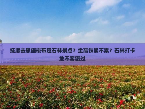 抚顺去恩施梭布垭石林景点？坐高铁累不累？石林打卡地不容错过