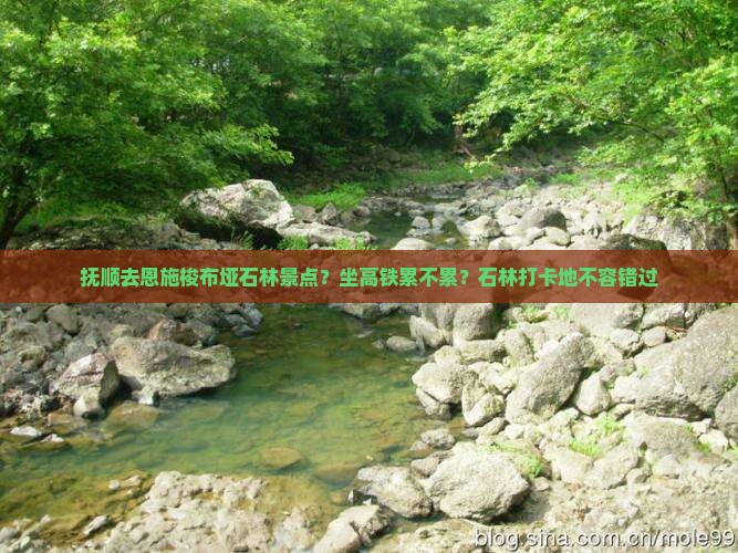 抚顺去恩施梭布垭石林景点？坐高铁累不累？石林打卡地不容错过