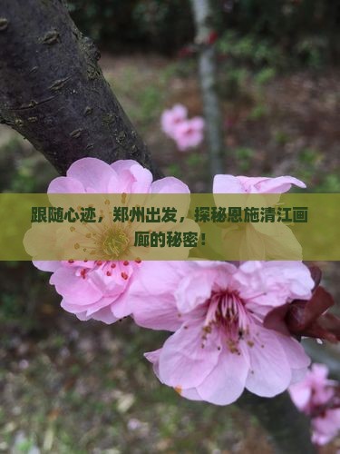 跟随心迹，郑州出发，探秘恩施清江画廊的秘密！