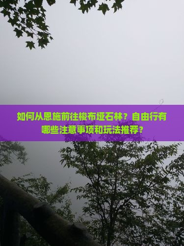 如何从恩施前往梭布垭石林？自由行有哪些注意事项和玩法推荐？