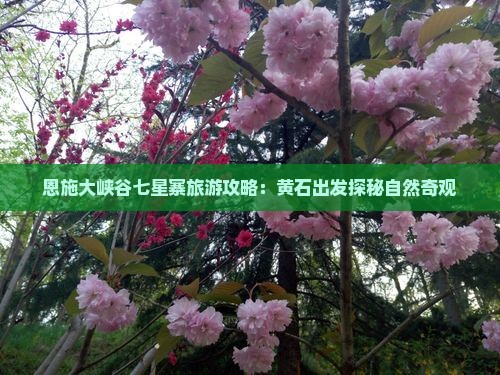 恩施大峡谷七星寨旅游攻略：黄石出发探秘自然奇观