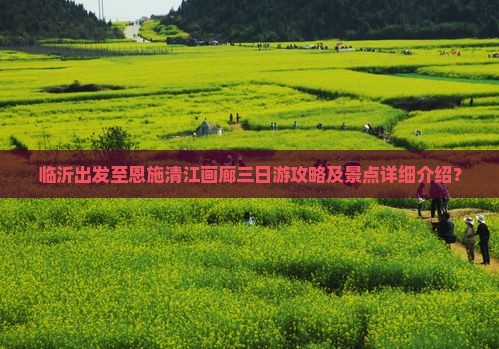 临沂出发至恩施清江画廊三日游攻略及景点详细介绍？