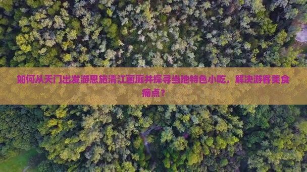如何从天门出发游恩施清江画廊并探寻当地特色小吃，解决游客美食痛点？