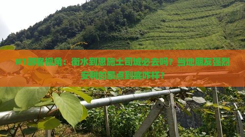 #1游客视角：衡水到恩施土司城必去吗？当地朋友强烈安利的景点到底咋样？