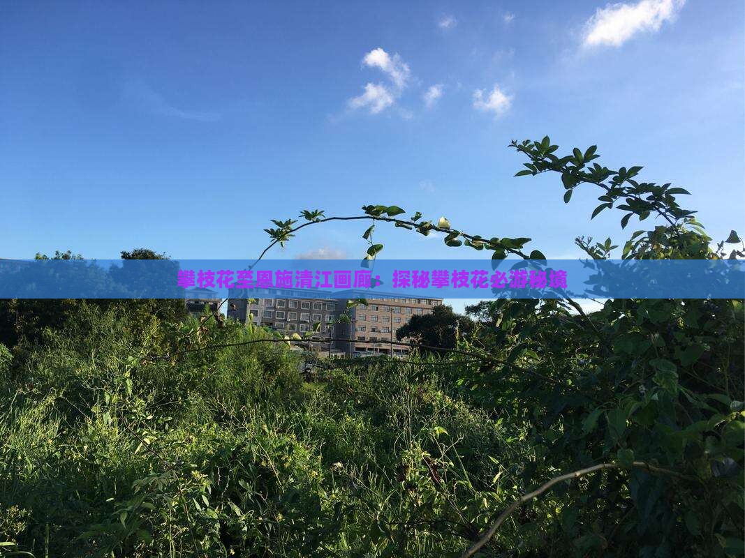 攀枝花至恩施清江画廊：探秘攀枝花必游秘境