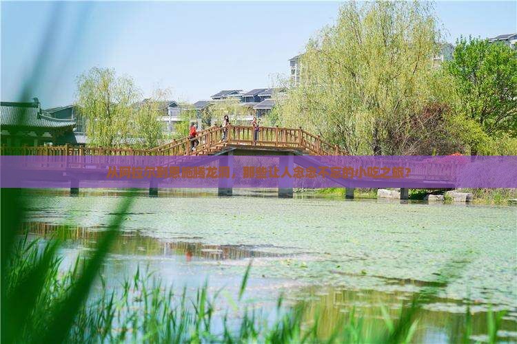 从阿拉尔到恩施腾龙洞，那些让人念念不忘的小吃之旅？