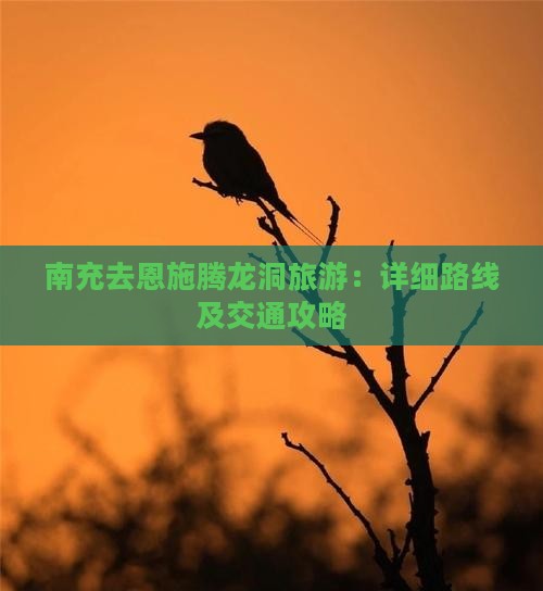 南充去恩施腾龙洞旅游：详细路线及交通攻略