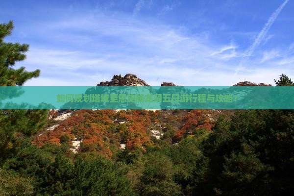 如何规划塔城至恩施腾龙洞五日游行程与攻略？