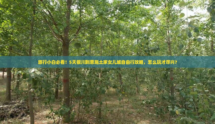 旅行小白必看！5天银川到恩施土家女儿城自由行攻略，怎么玩才尽兴？