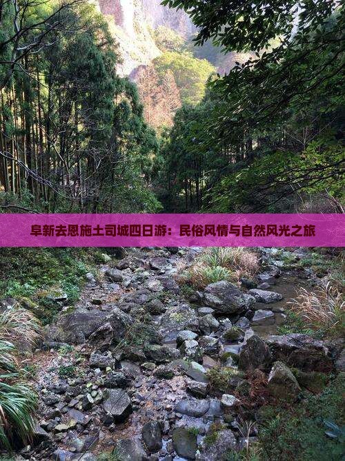 阜新去恩施土司城四日游：民俗风情与自然风光之旅