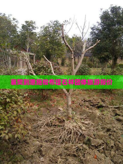 襄樊到恩施梭布垭石林团体旅游报价