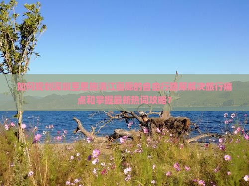 如何规划深圳至恩施清江画廊的自由行路犀解决旅行痛点和掌握最新热词攻略？