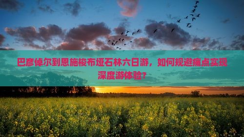 巴彦倬尔到恩施梭布垭石林六日游，如何规避痛点实现深度游体验？