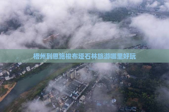 梧州到恩施梭布垭石林旅游哪里好玩